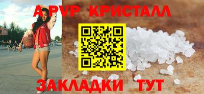 гашик Моздок