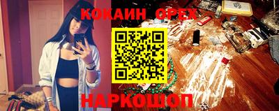 гашик Моздок