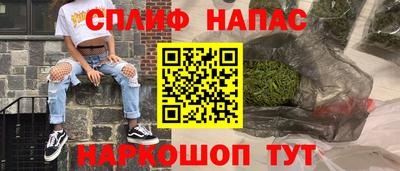 гашик Моздок
