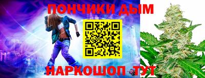 гашик Моздок