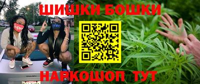 тгк Можга