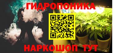 тгк Можга