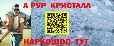 гашик Моздок