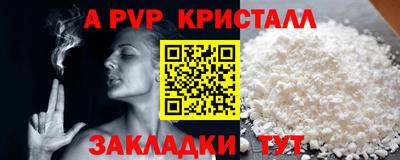 гашик Моздок