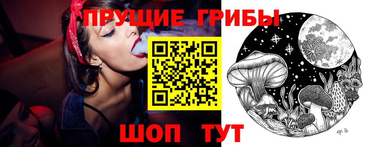 Псилоцибиновые грибы мицелий Дзержинск