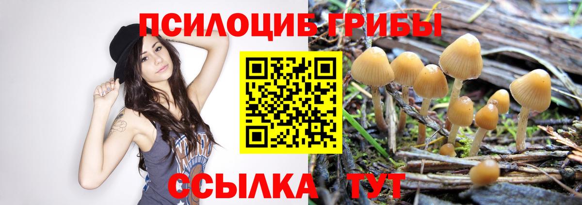 Дзержинск  Псилоцибиновые грибы GOLDEN TEACHER  Галлюциногенные грибы Magic Shrooms  Вход с VPN 